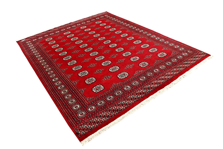 Firebrick Bokhara 6' 6 x 8' 4 - No. 59751 - ALRUG Rug Store