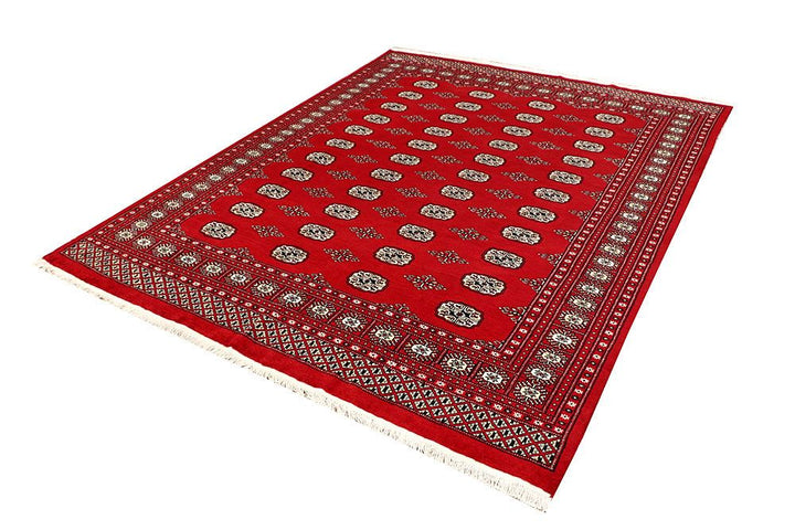 Bokhara 6' 7 x 8' 3 - No. 59752 - ALRUG Rug Store