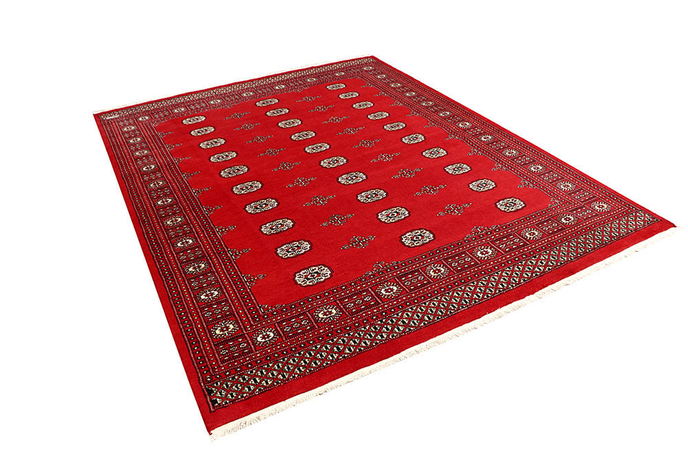 Firebrick Bokhara 6' 7 x 8' 5 - No. 59753 - ALRUG Rug Store