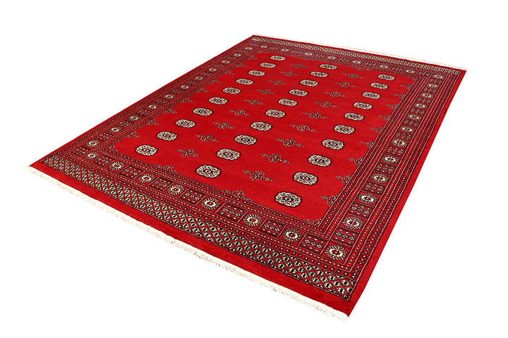 Firebrick Bokhara 6' 7 x 8' 5 - No. 59753 - ALRUG Rug Store