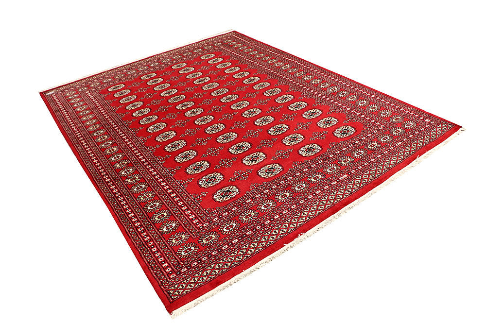 Firebrick Bokhara 6' 5 x 8' 3 - No. 59757 - ALRUG Rug Store