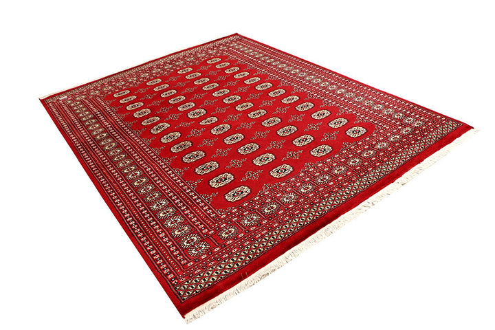 Firebrick Bokhara 6' 7 x 8' 5 - No. 59759 - ALRUG Rug Store