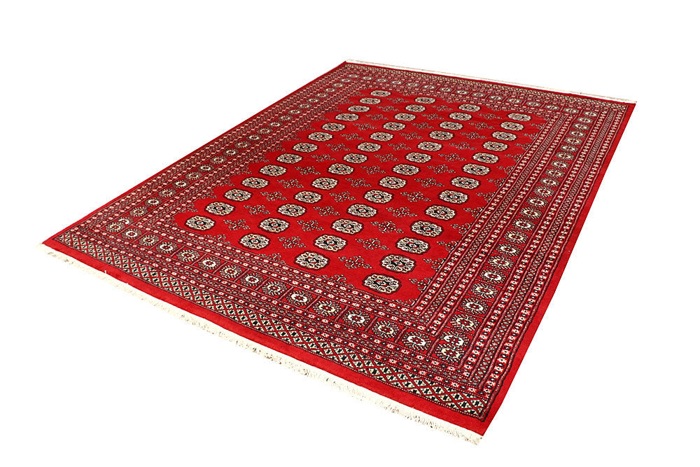 Firebrick Bokhara 6' 8 x 8' 6 - No. 59761 - ALRUG Rug Store