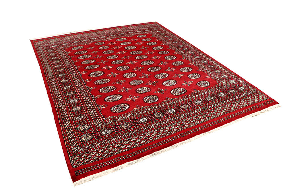 Firebrick Bokhara 6' 7 x 8' 2 - No. 59764 - ALRUG Rug Store