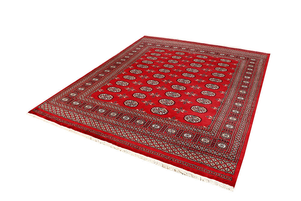 Firebrick Bokhara 6' 7 x 8' 2 - No. 59764 - ALRUG Rug Store
