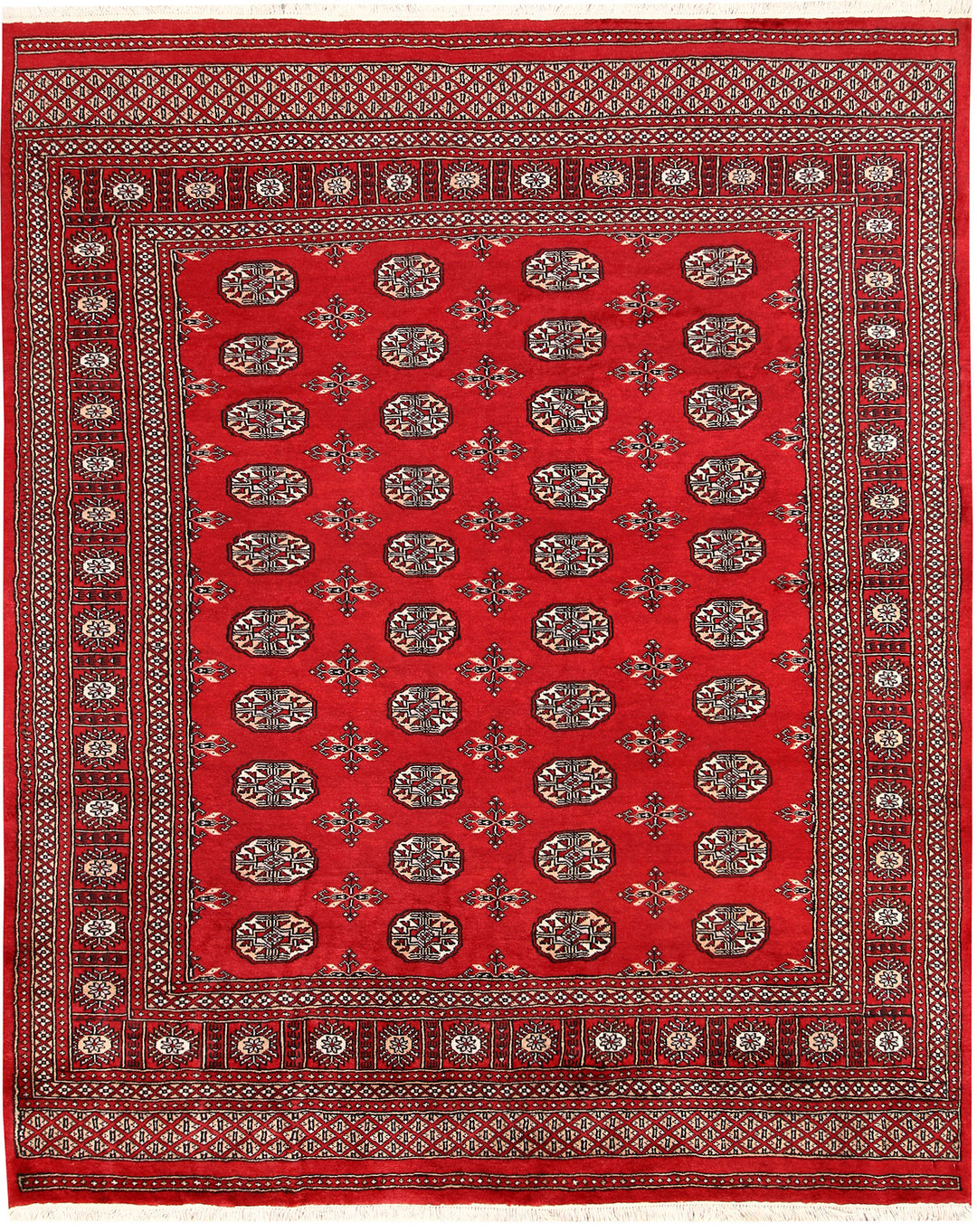 Firebrick Bokhara 6' 7 x 8' 2 - No. 59764 - ALRUG Rug Store