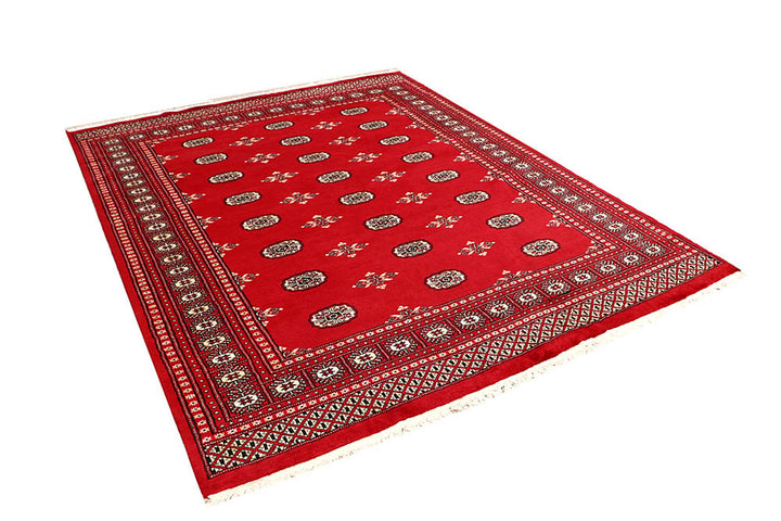 Firebrick Bokhara 6' 8 x 8' 4 - No. 59765 - ALRUG Rug Store