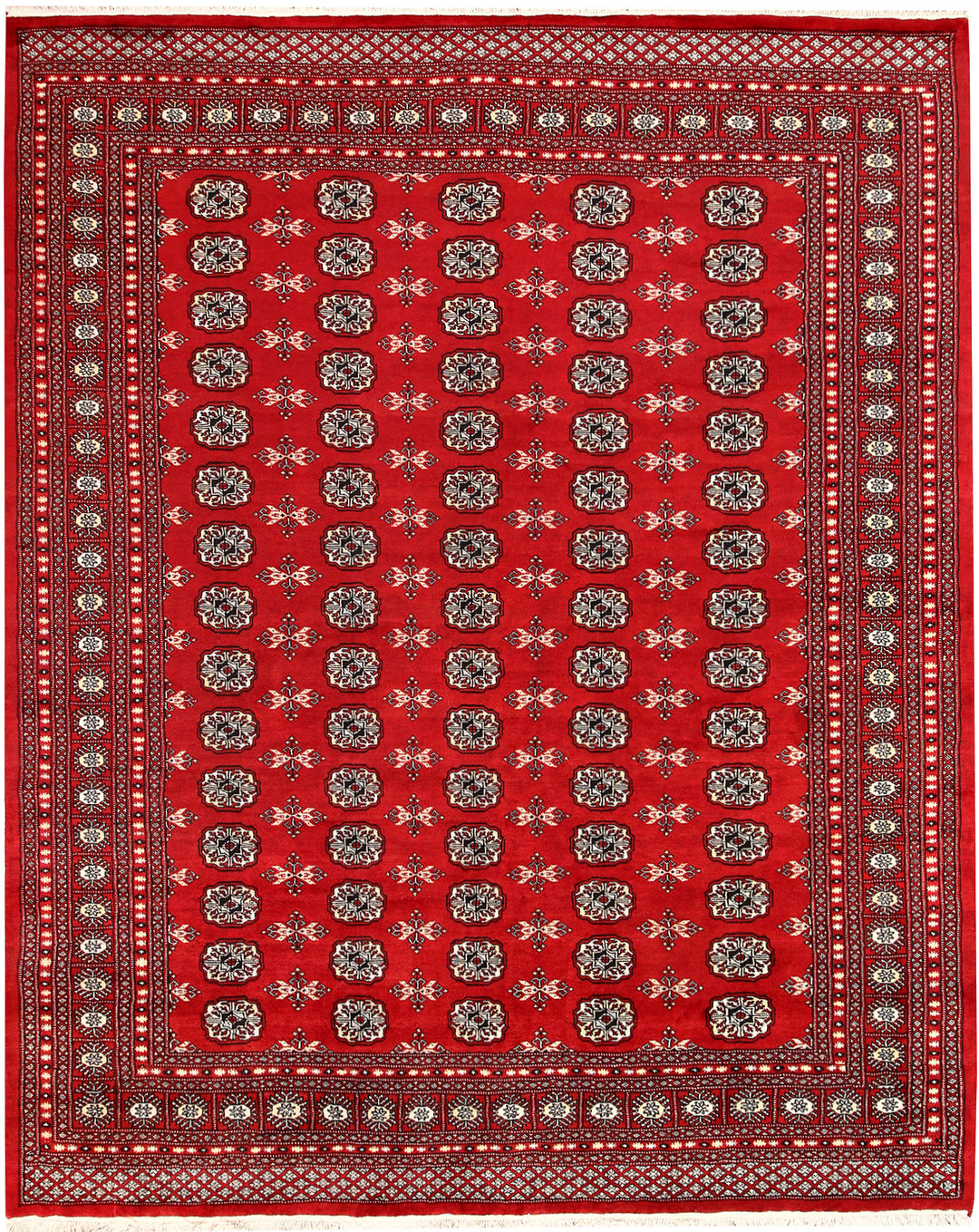 Firebrick Bokhara 7' 1 x 8' 8 - No. 59767 - ALRUG Rug Store