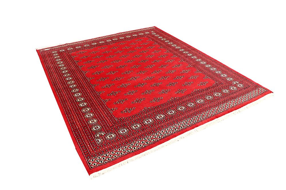 Butterfly 6' 7 x 7' 8 - No. 59768 - ALRUG Rug Store