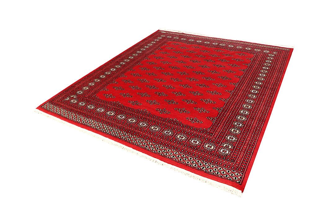 Butterfly 6' 7 x 7' 8 - No. 59768 - ALRUG Rug Store