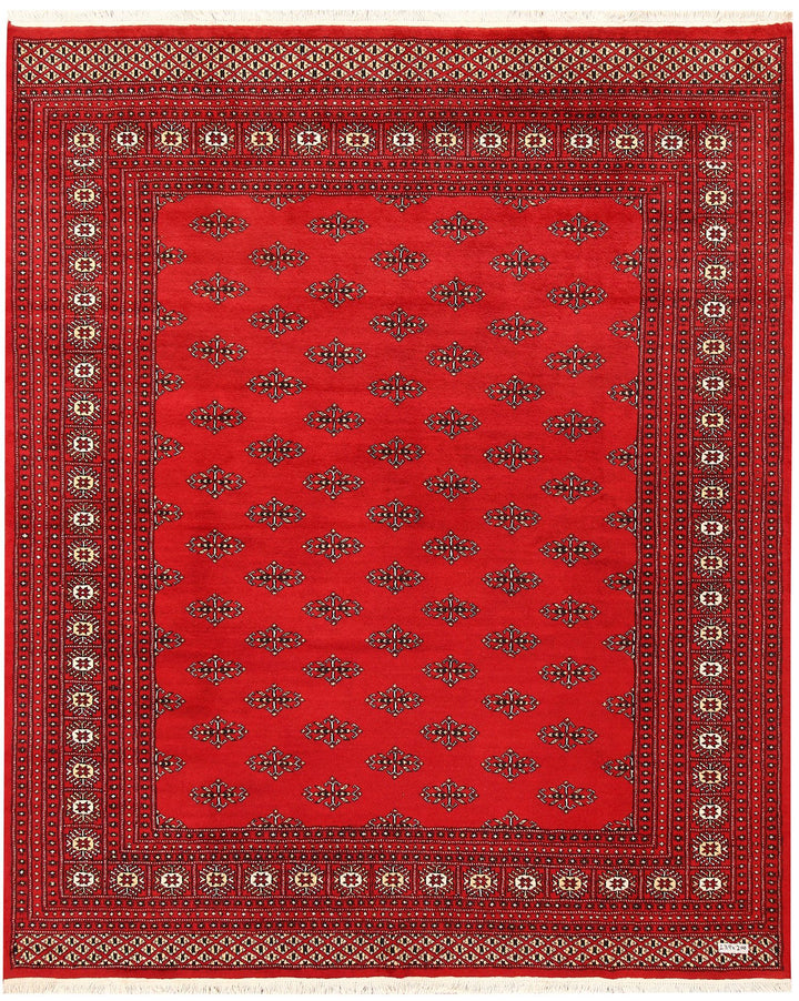 Butterfly 6' 7 x 7' 10 - No. 59769 - ALRUG Rug Store