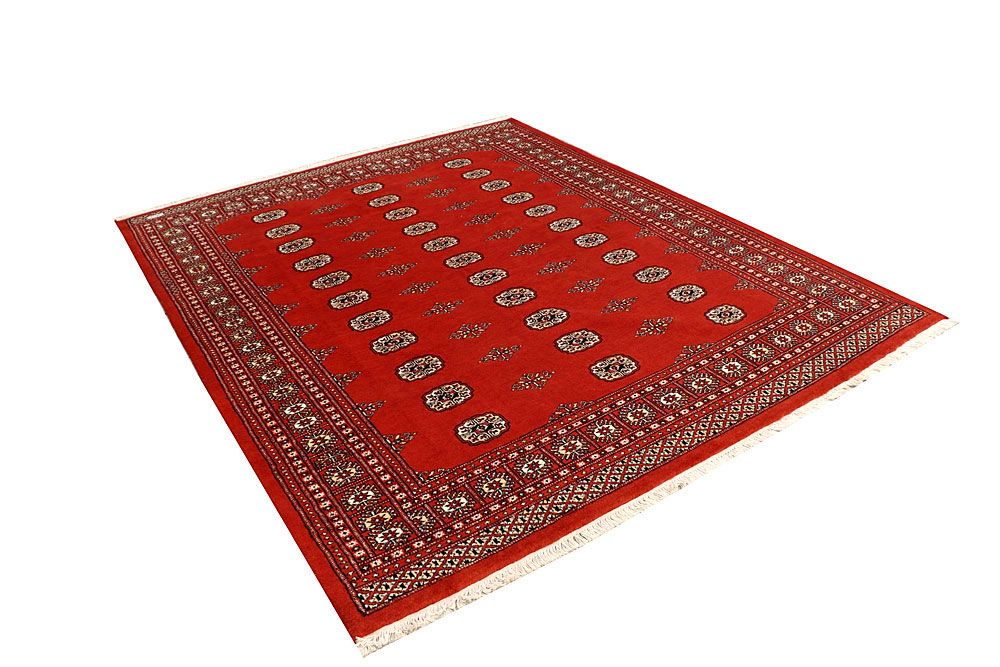 Bokhara 6' 6 x 8' 2 - No. 59791 - ALRUG Rug Store