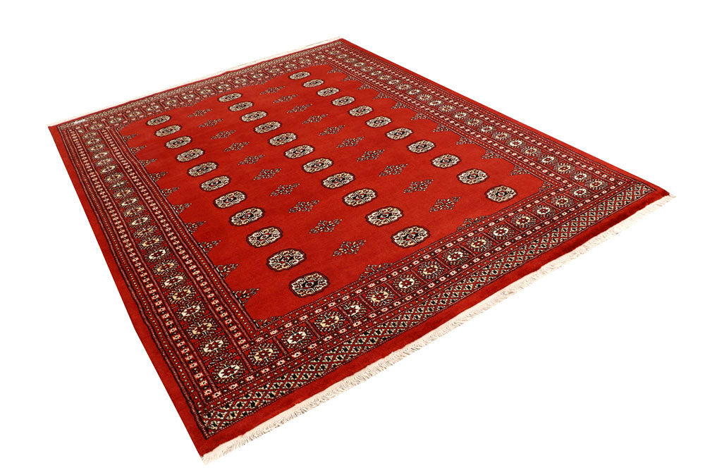 Tomato Bokhara 6' 7 x 8' 2 - No. 59793 - ALRUG Rug Store