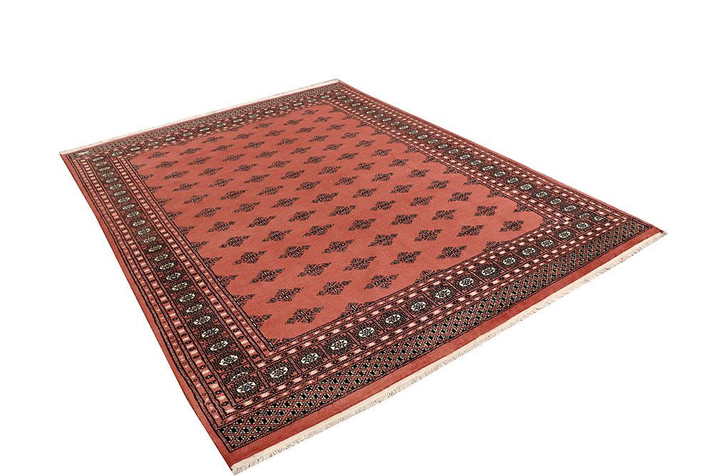 Butterfly 6' 6 x 8' 8 - No. 59797 - ALRUG Rug Store