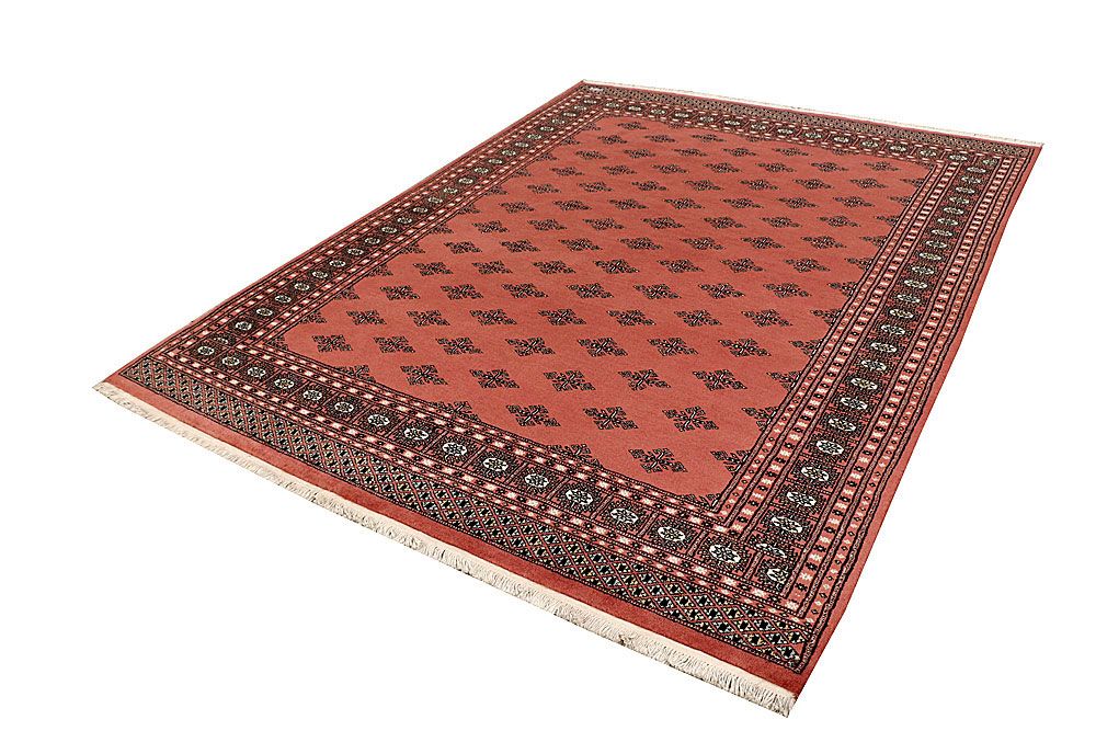 Butterfly 6' 6 x 8' 8 - No. 59797 - ALRUG Rug Store
