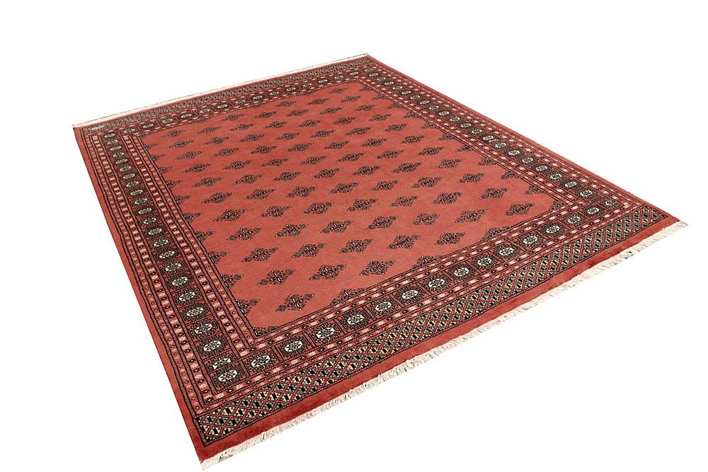 Butterfly 6' 7 x 8' 2 - No. 59798 - ALRUG Rug Store