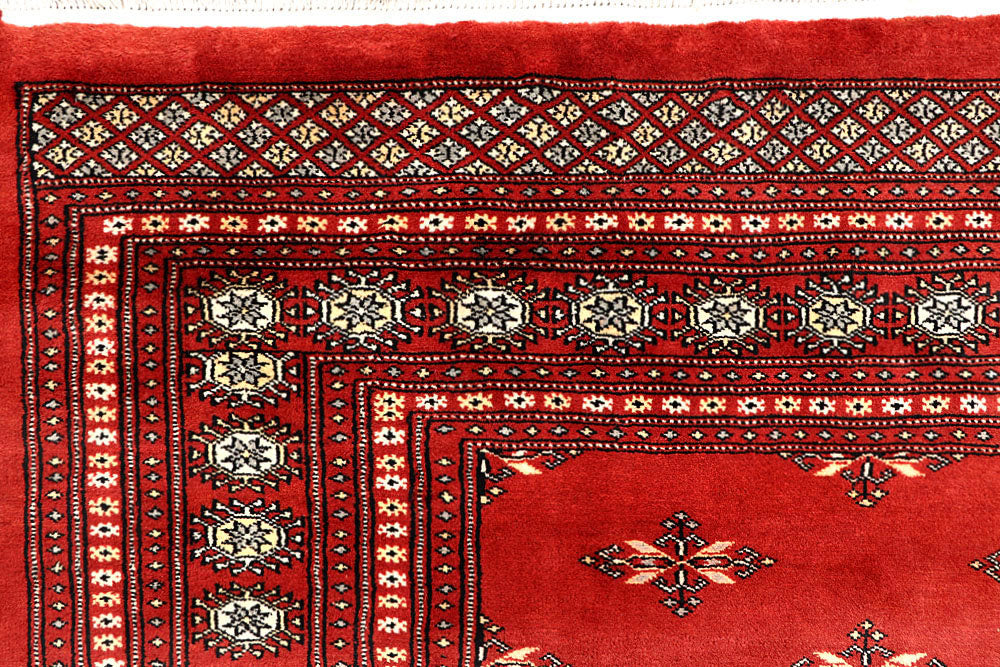 Firebrick Butterfly 8' 11 x 11' 11 - No. 59906 - ALRUG Rug Store