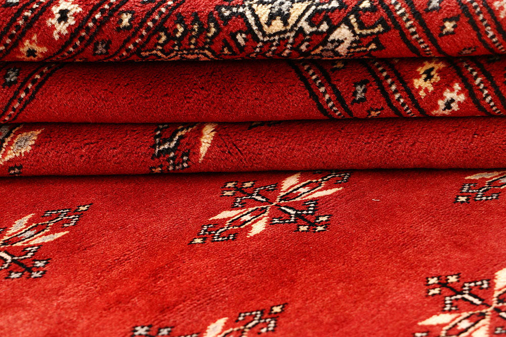 Firebrick Butterfly 8' 11 x 11' 11 - No. 59906 - ALRUG Rug Store