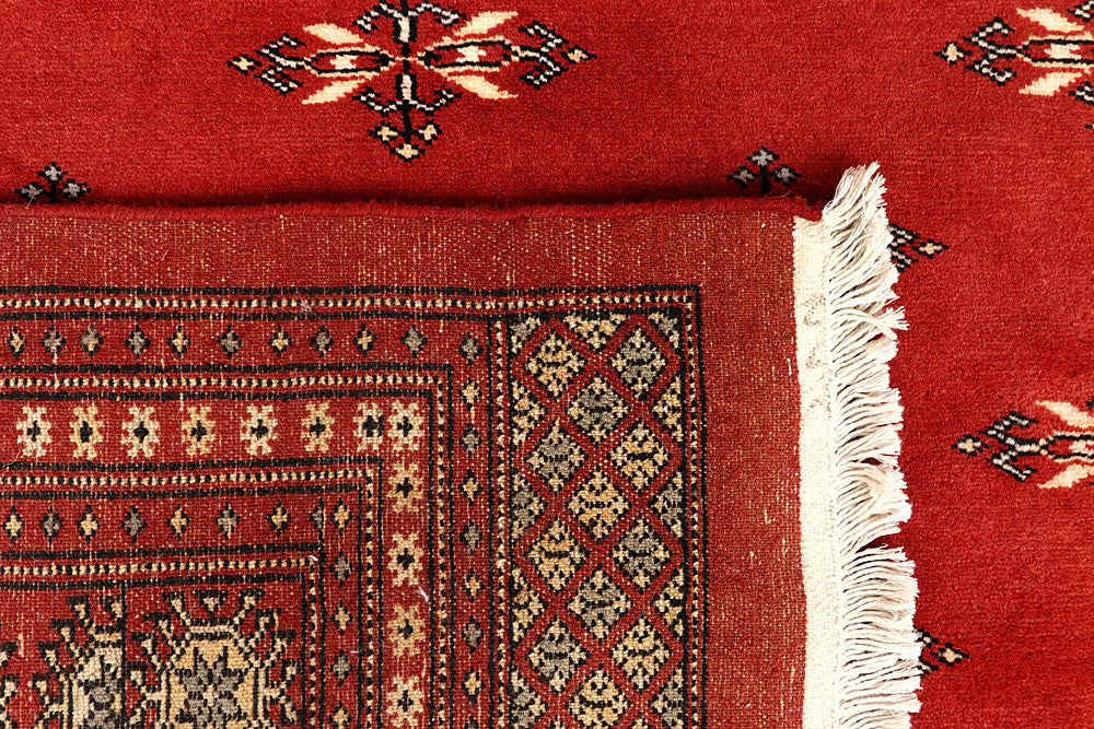 Firebrick Butterfly 8' 11 x 11' 11 - No. 59906 - ALRUG Rug Store