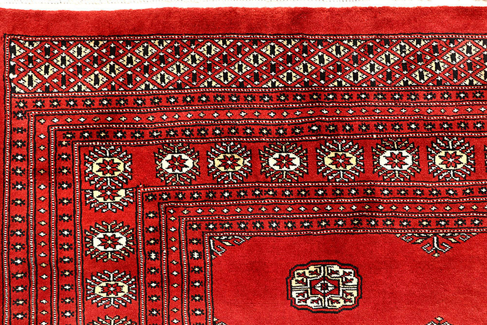 Firebrick Bokhara 9' 1 x 11' 10 - No. 59908 - ALRUG Rug Store