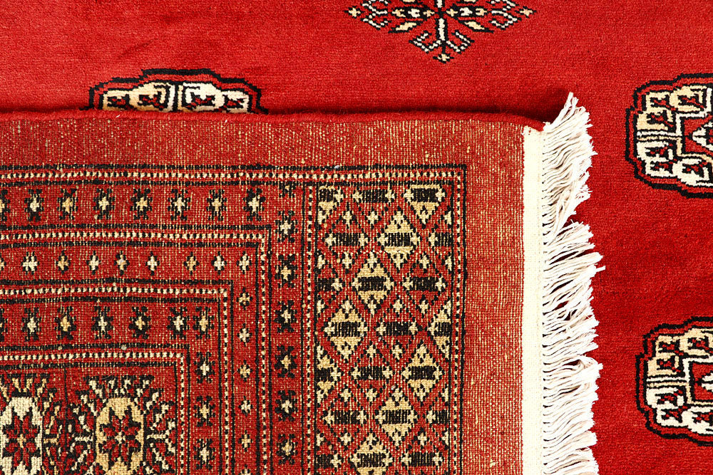 Firebrick Bokhara 9' 1 x 11' 10 - No. 59908 - ALRUG Rug Store