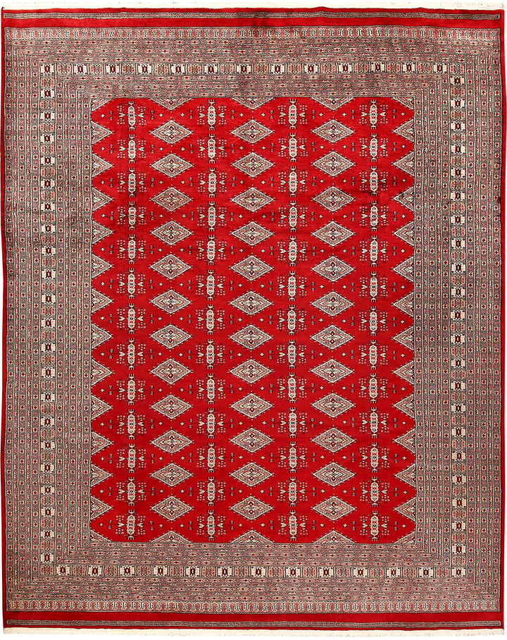 Firebrick Jaldar 9' 3 x 11' 7 - No. 59924 - ALRUG Rug Store