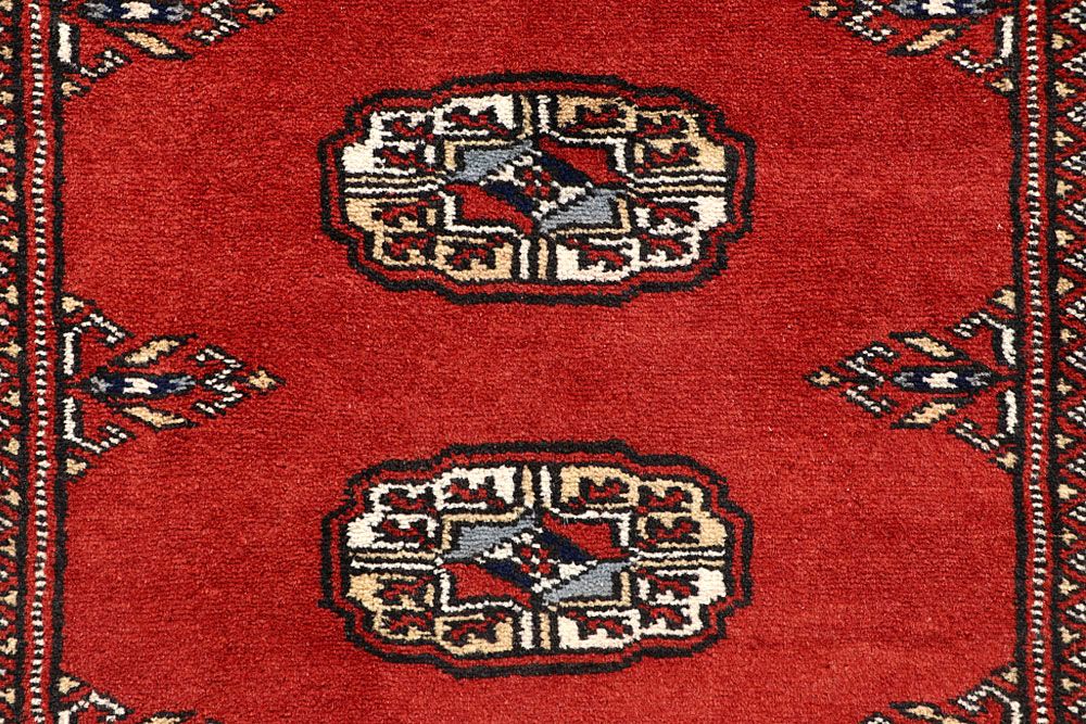 Bokhara 2' 6 x 13' 2 - No. 60019 - ALRUG Rug Store
