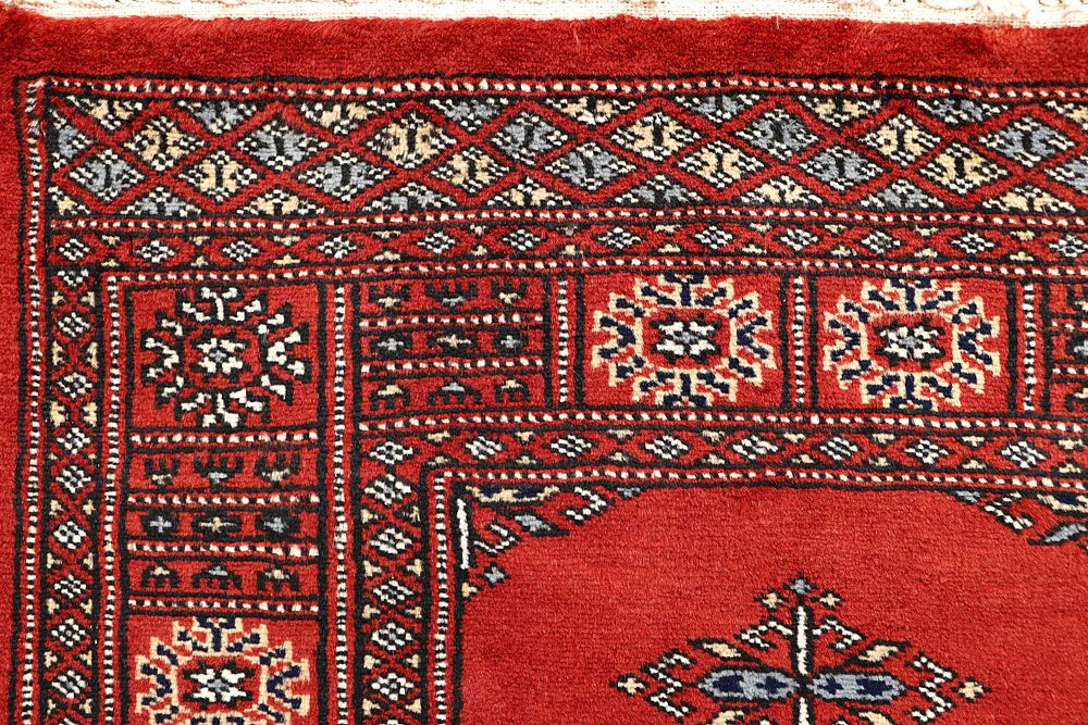 Butterfly 2' 6 x 13' - No. 60041 - ALRUG Rug Store