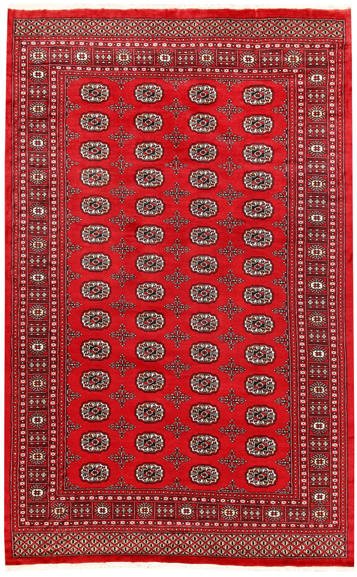 Firebrick Bokhara 6' 1 x 9' 8 - No. 60047 - ALRUG Rug Store