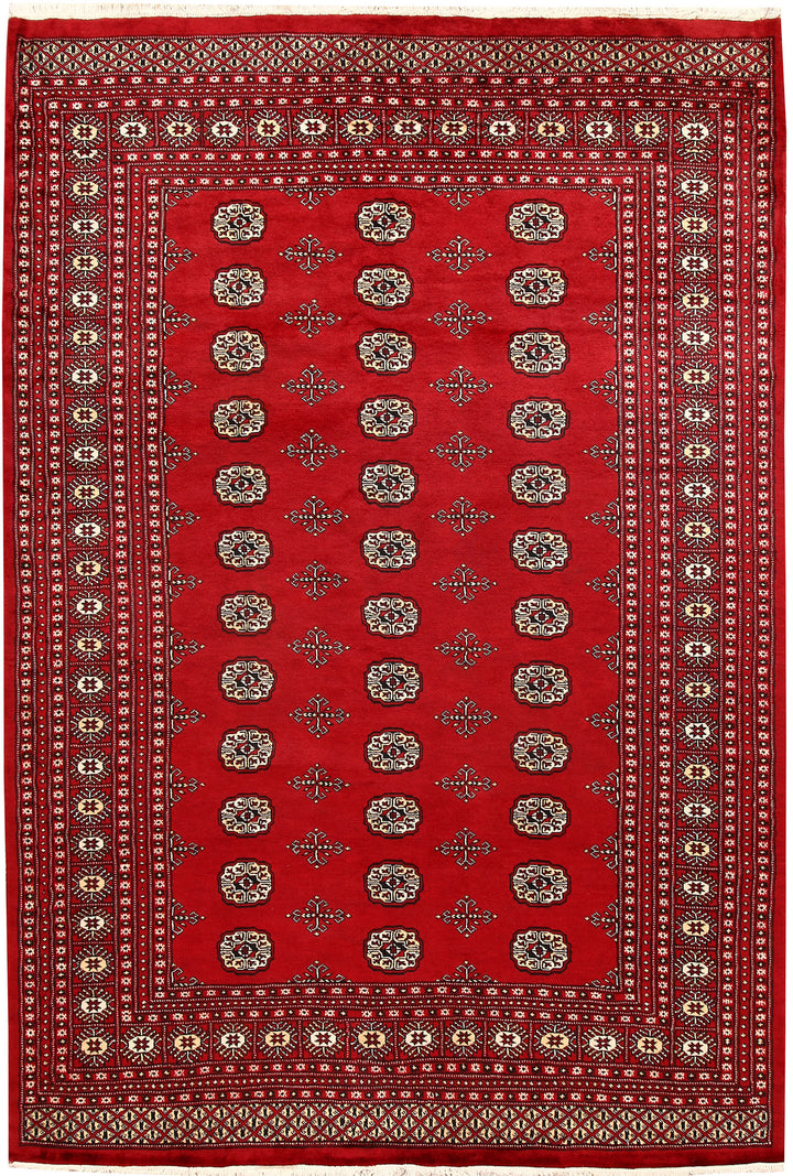 Firebrick Bokhara 6'  2" x 9'  1" - No. QA98989