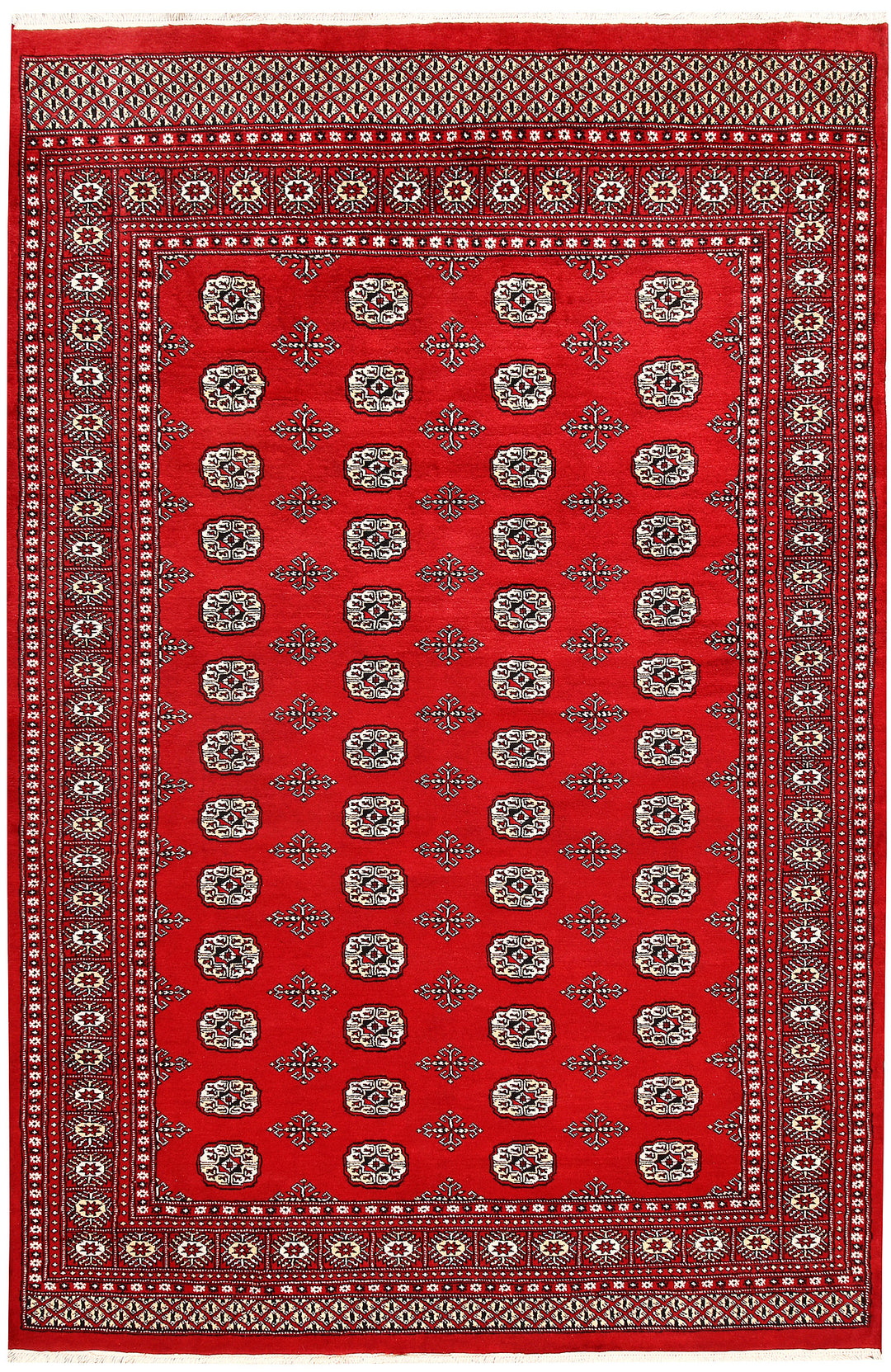 Red Bokhara 6' 1 x 9' 3 - No. 60052 - ALRUG Rug Store