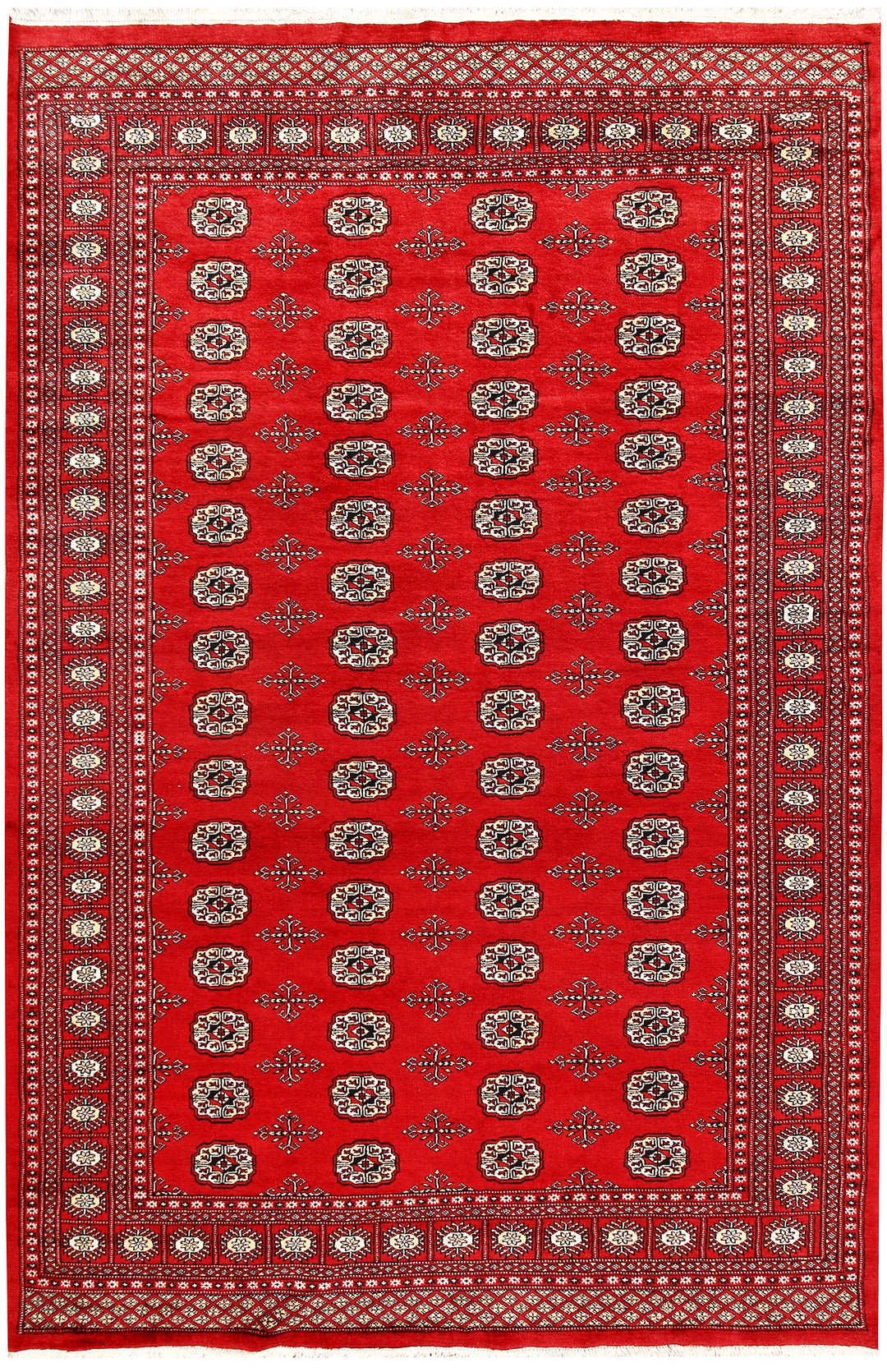 Red Bokhara 6' 1 x 9' 1 - No. 60059 - ALRUG Rug Store