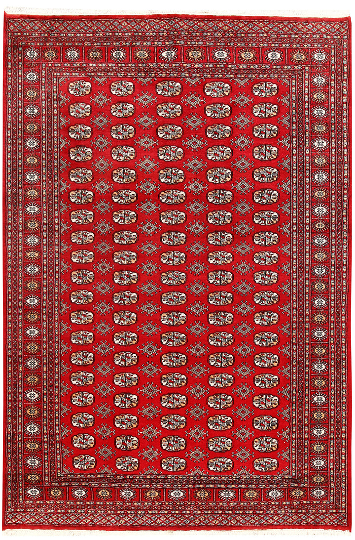 Firebrick Bokhara 5' 11 x 8' 10 - No. 60062 - ALRUG Rug Store