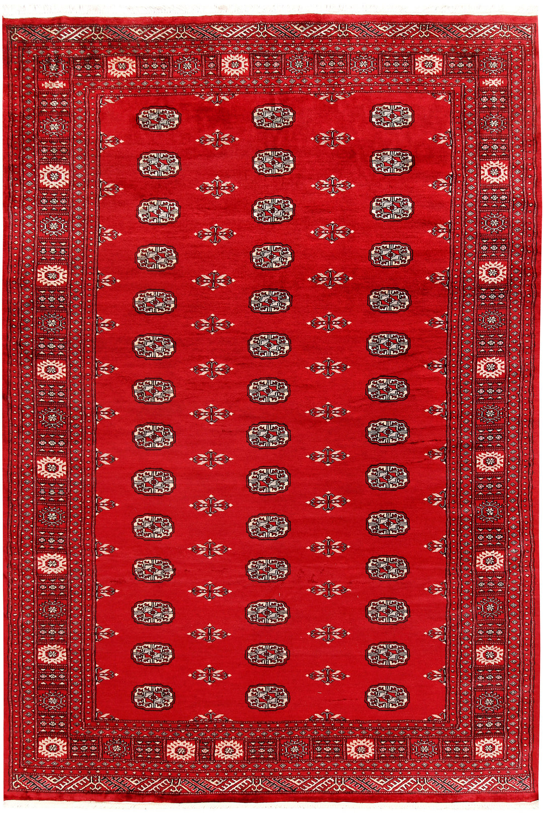 Red Bokhara 6' 1 x 9' - No. 60068 - ALRUG Rug Store