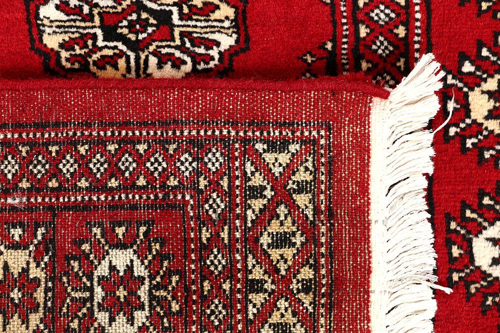 Bokhara 2' 6 x 12' 11 - No. 60074 - ALRUG Rug Store