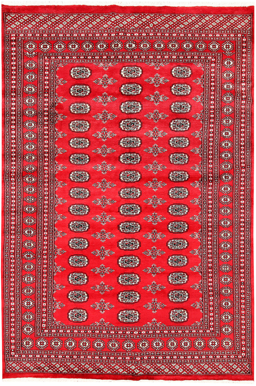 Red Bokhara 5' 11 x 8' 10 - No. 60104 - ALRUG Rug Store