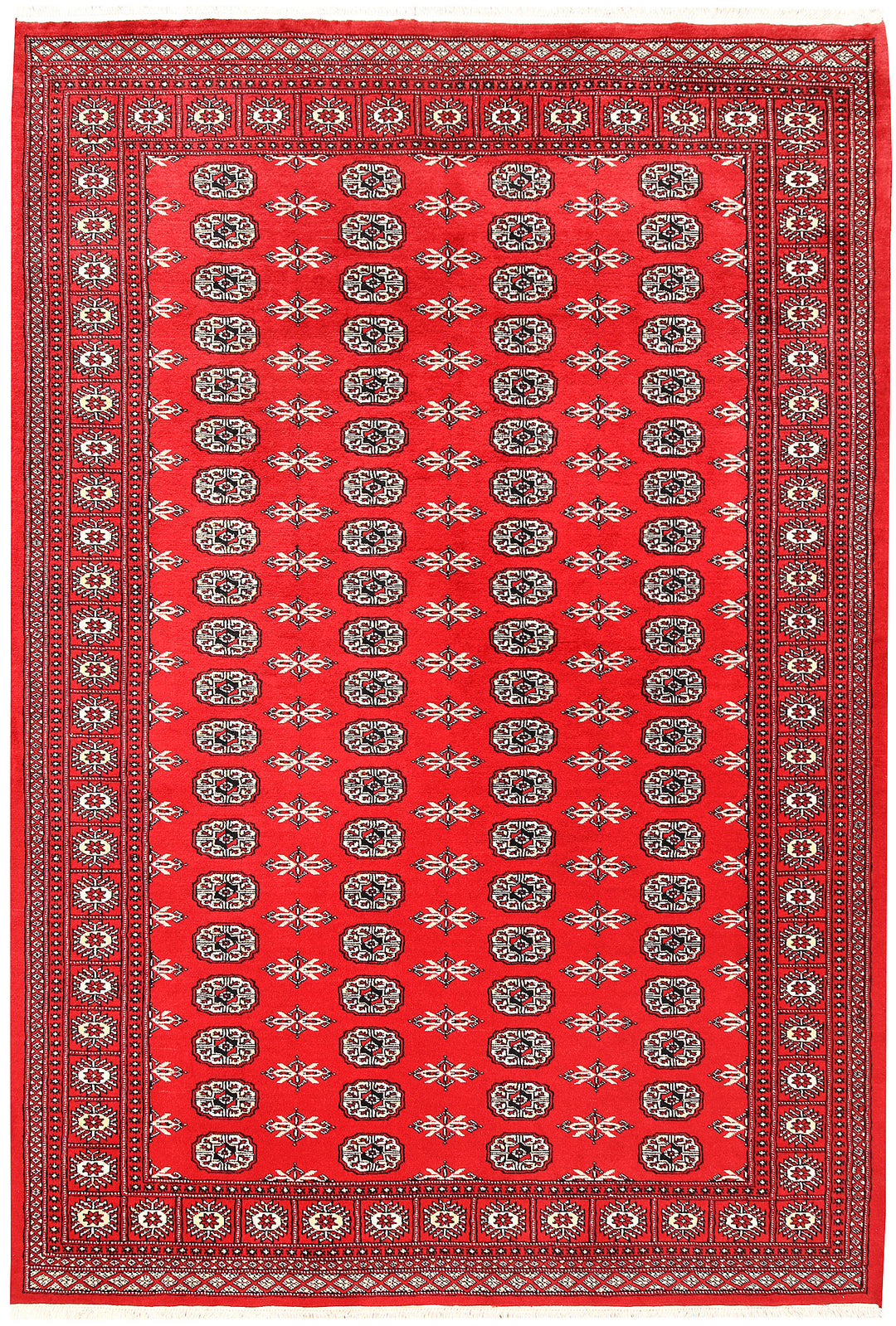 Red Bokhara 6' 2 x 9' 1 - No. 60120 - ALRUG Rug Store