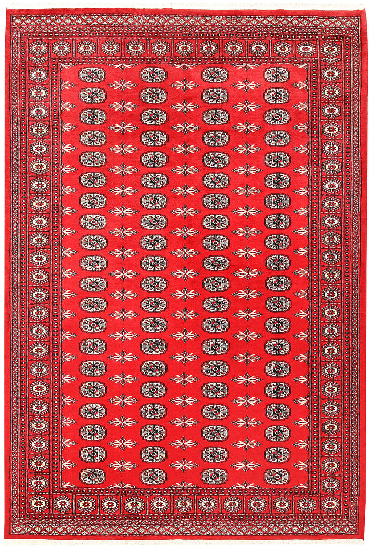 Red Bokhara 6' 2 x 9' 1 - No. 60120 - ALRUG Rug Store