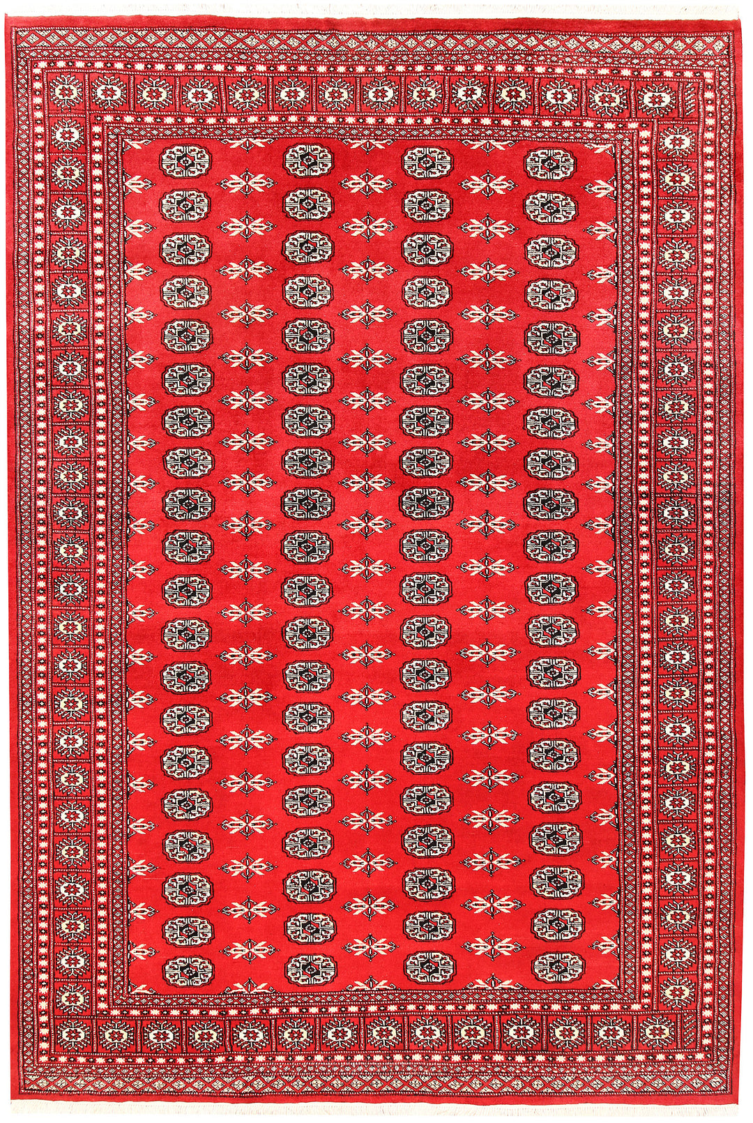 Red Bokhara 6' x 8' 11 - No. 60122 - ALRUG Rug Store