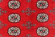Red Bokhara 6' x 8' 10 - No. 60129 - ALRUG Rug Store