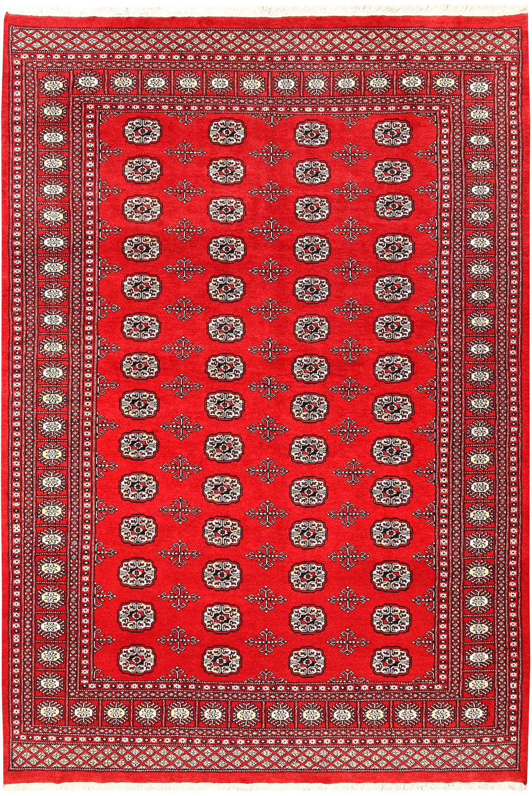 Red Bokhara 6' x 8' 10 - No. 60129 - ALRUG Rug Store