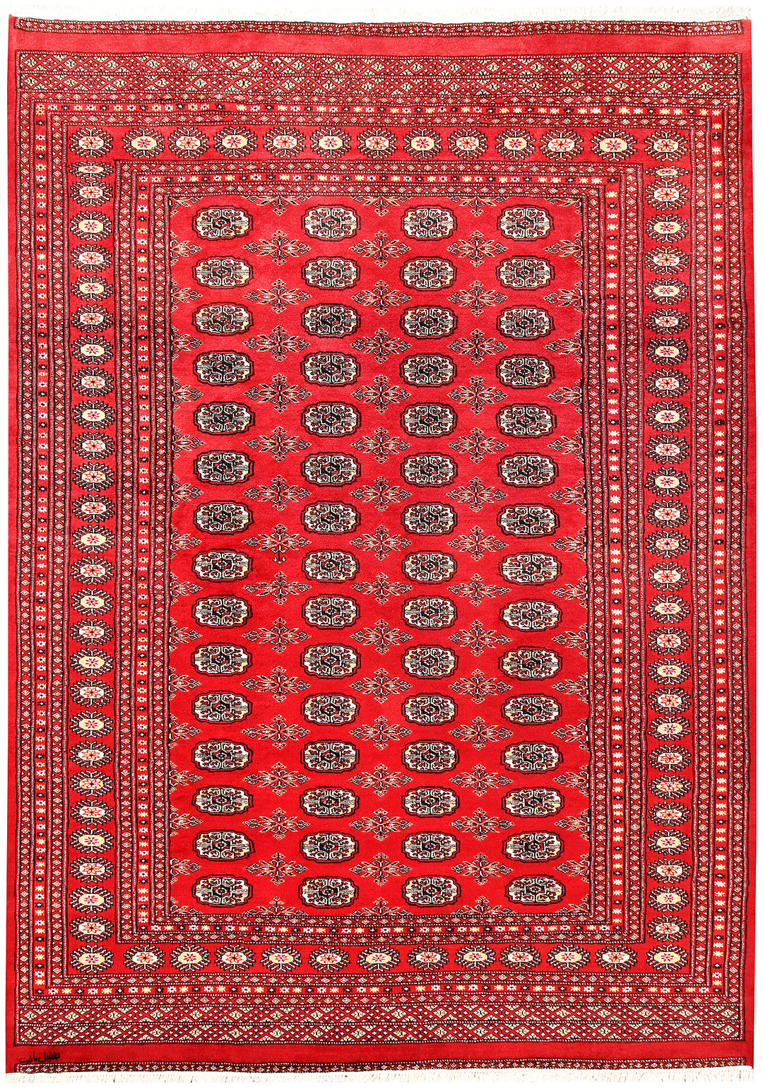 Crimson Bokhara 6' 5 x 8' 11 - No. 60142 - ALRUG Rug Store