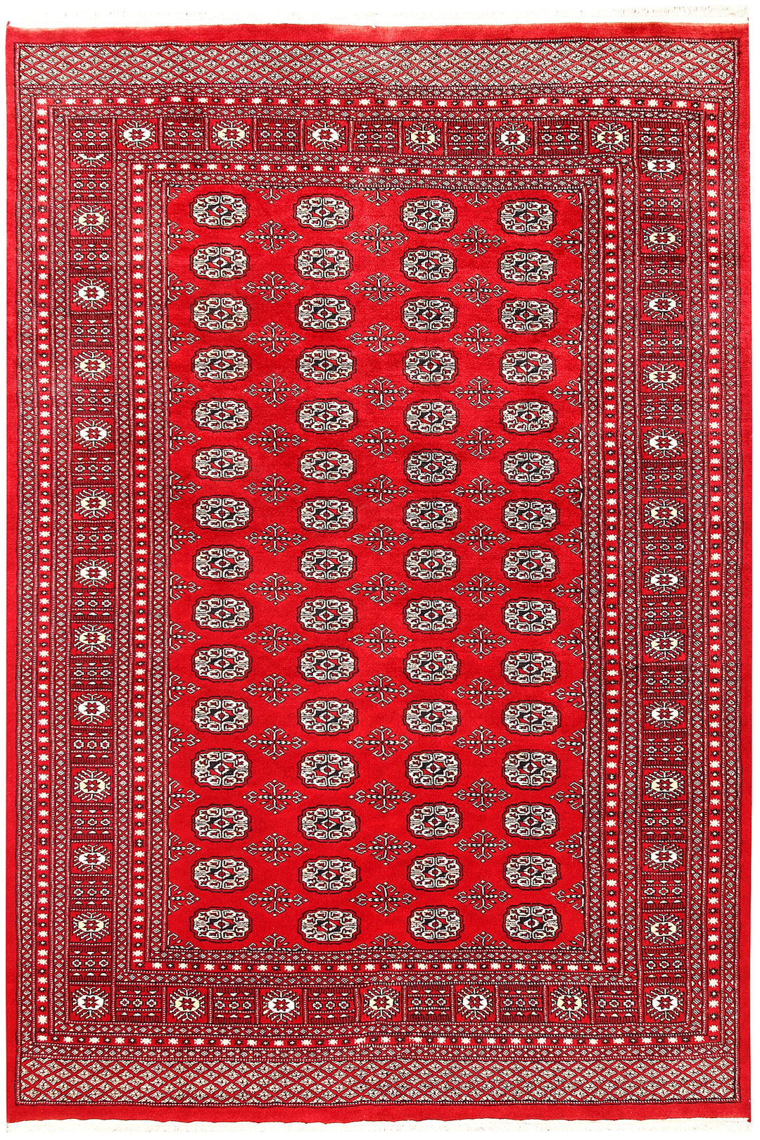 Red Bokhara 6' x 8' 10 - No. 60143 - ALRUG Rug Store