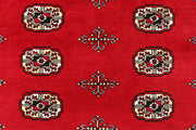 Red Bokhara 6' 1 x 9' 6 - No. 60144 - ALRUG Rug Store