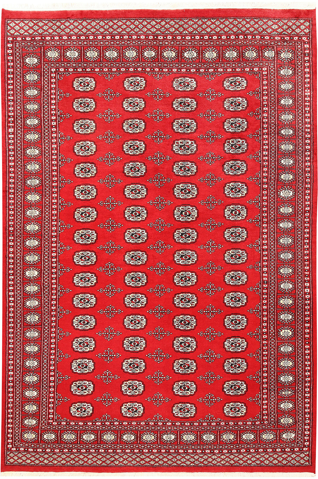 Red Bokhara 6' x 9' - No. 60146 - ALRUG Rug Store