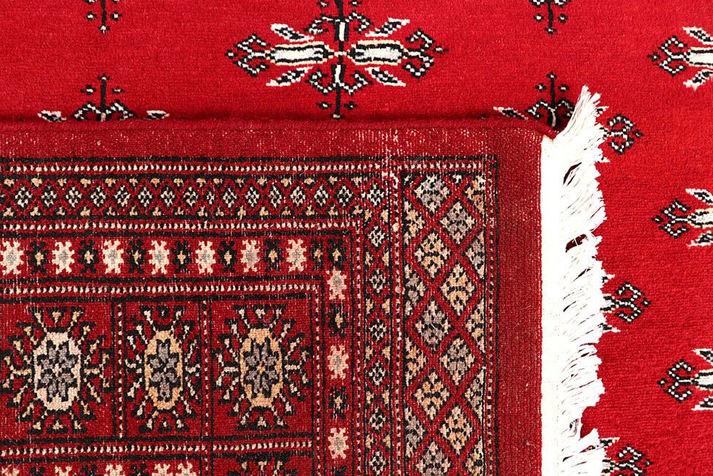 Butterfly 5' 7 x 9' - No. 60163 - ALRUG Rug Store