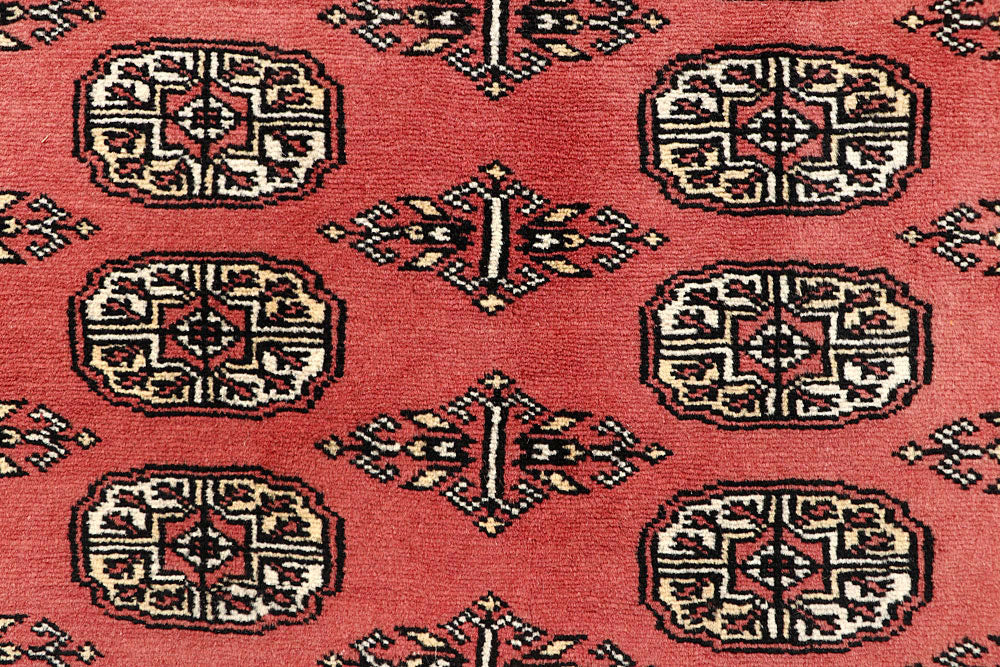 Light Coral Bokhara 6' 1 x 9' 5 - No. 60253 - ALRUG Rug Store