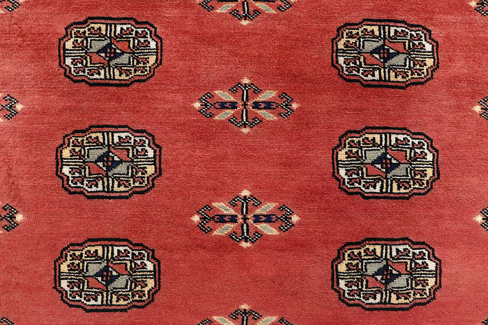 Coral Bokhara 6' 1 x 9' 1 - No. 60255 - ALRUG Rug Store