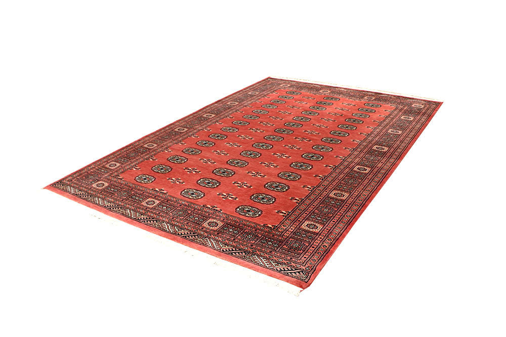 Coral Bokhara 6' 1 x 9' 1 - No. 60255 - ALRUG Rug Store