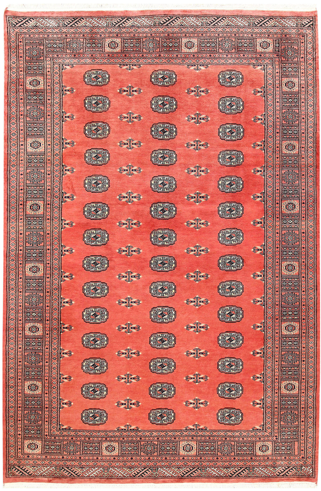 Coral Bokhara 6' 1 x 9' 1 - No. 60255 - ALRUG Rug Store